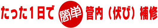 たった1日で簡単管内(伏び）補修